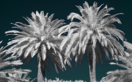 500264 (a): :2560x1600